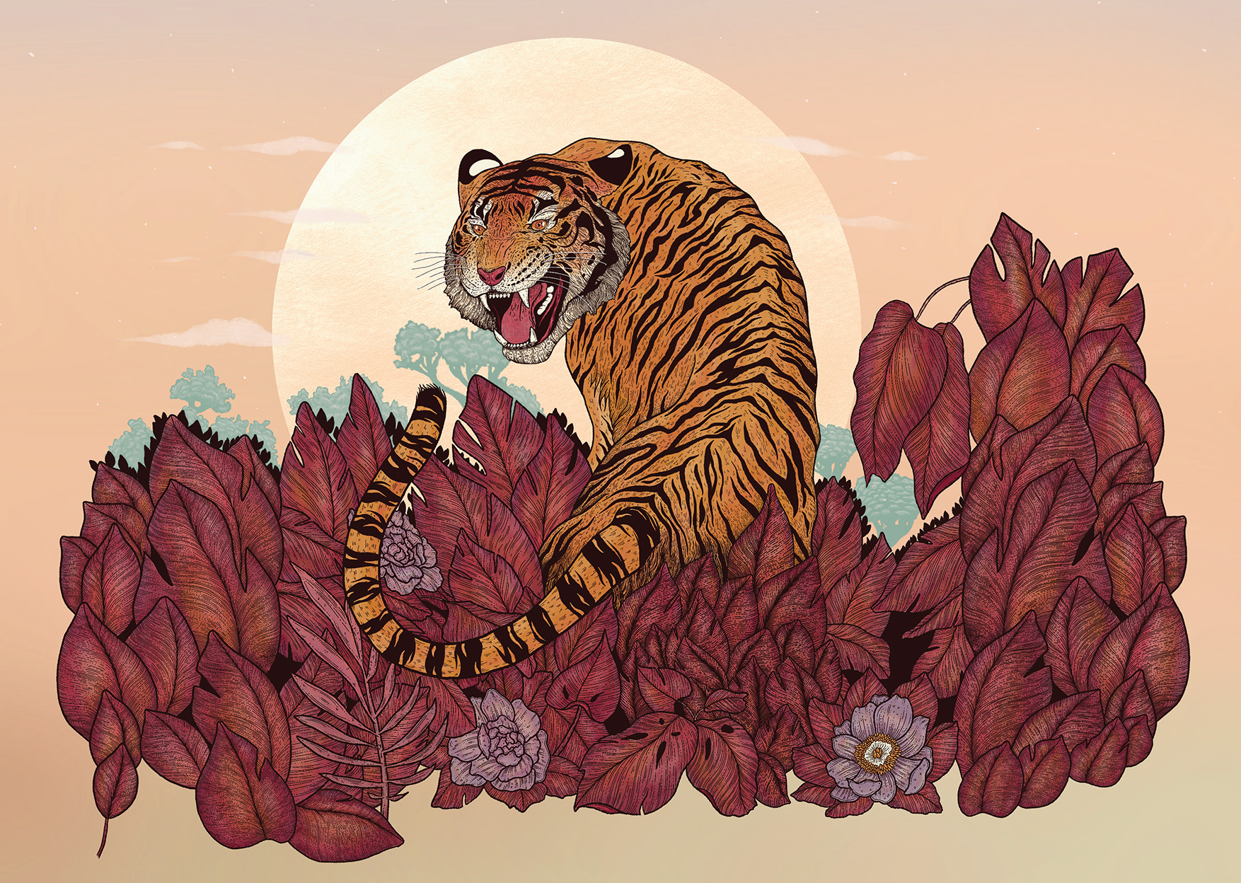 Tora Tiger Illustration